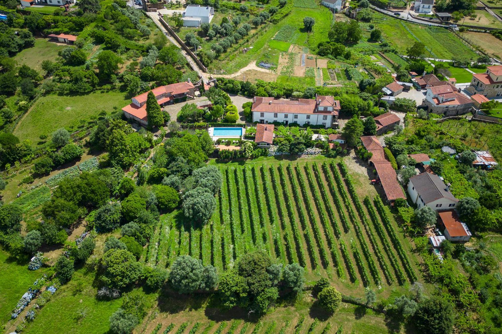 Hostal Quinta Da Aldeia Ponte de Lima Exterior foto